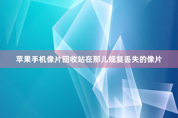 苹果手机像片回收站在那儿规复丢失的像片