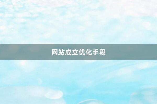 网站成立优化手段
