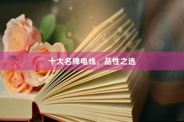十大名牌电线，品性之选