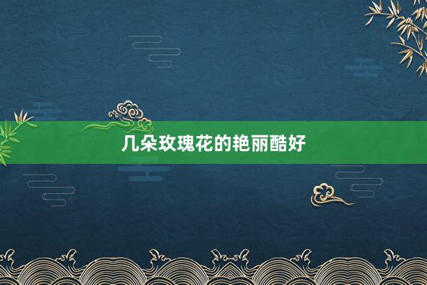几朵玫瑰花的艳丽酷好