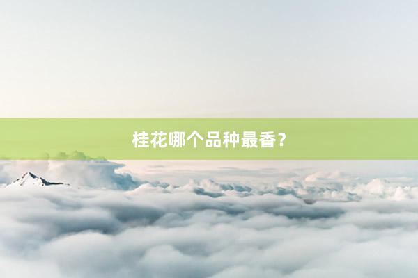 桂花哪个品种最香？