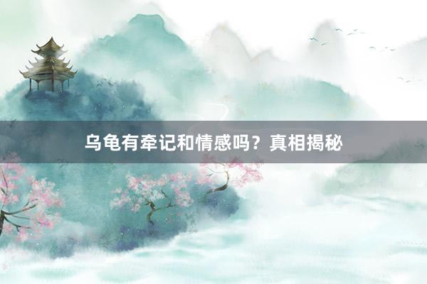 乌龟有牵记和情感吗？真相揭秘