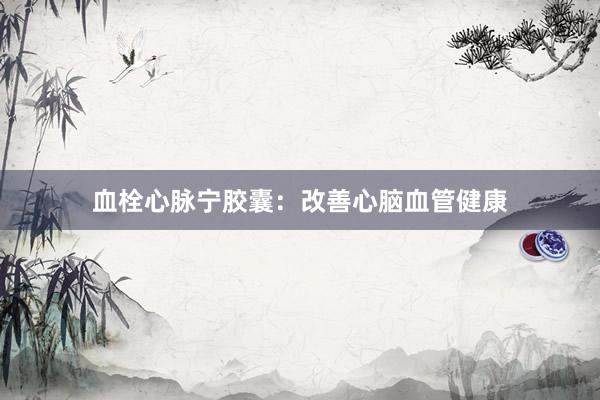 血栓心脉宁胶囊：改善心脑血管健康